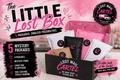 The Little Lost Box